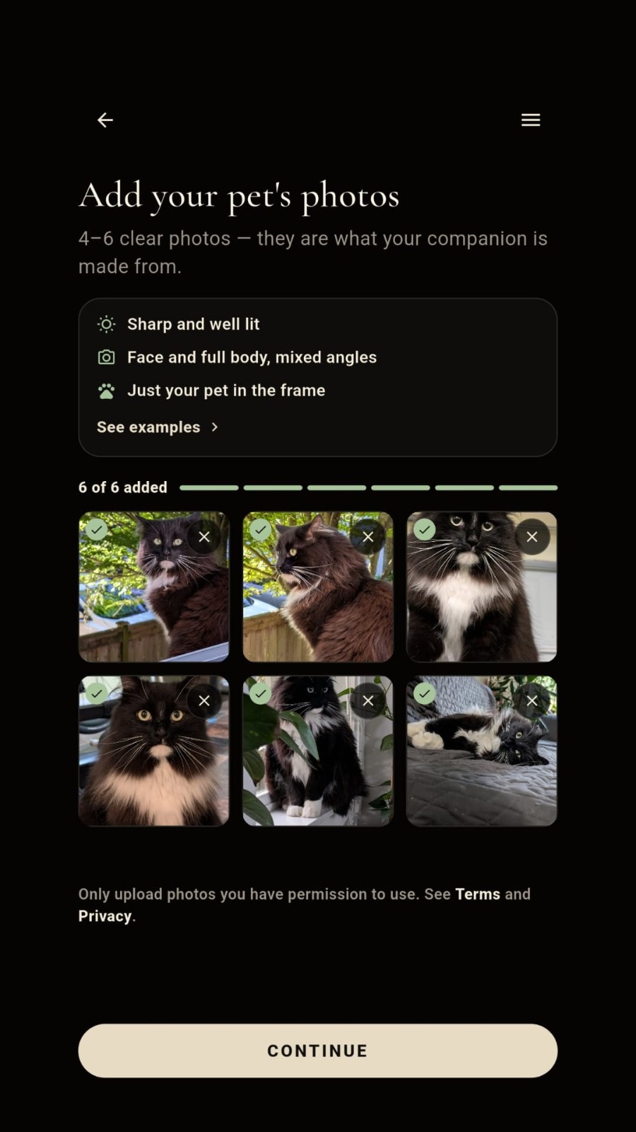 Paw Beside add pet photos screen