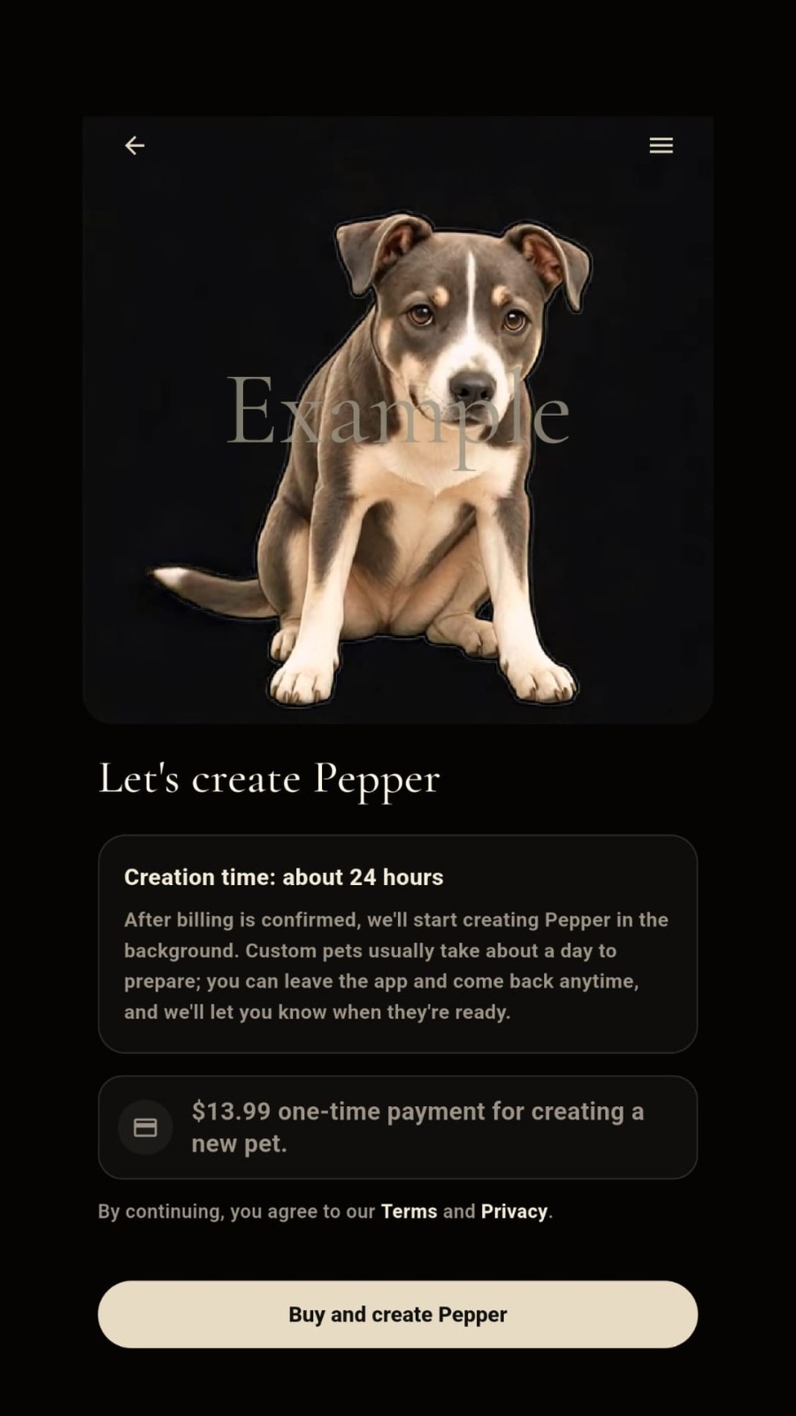 Paw Beside create Pepper payment screen