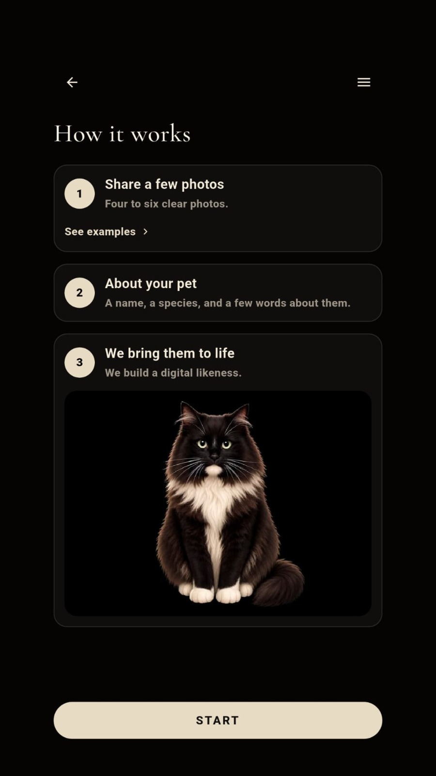 Paw Beside how it works screen