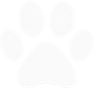 Paw Beside